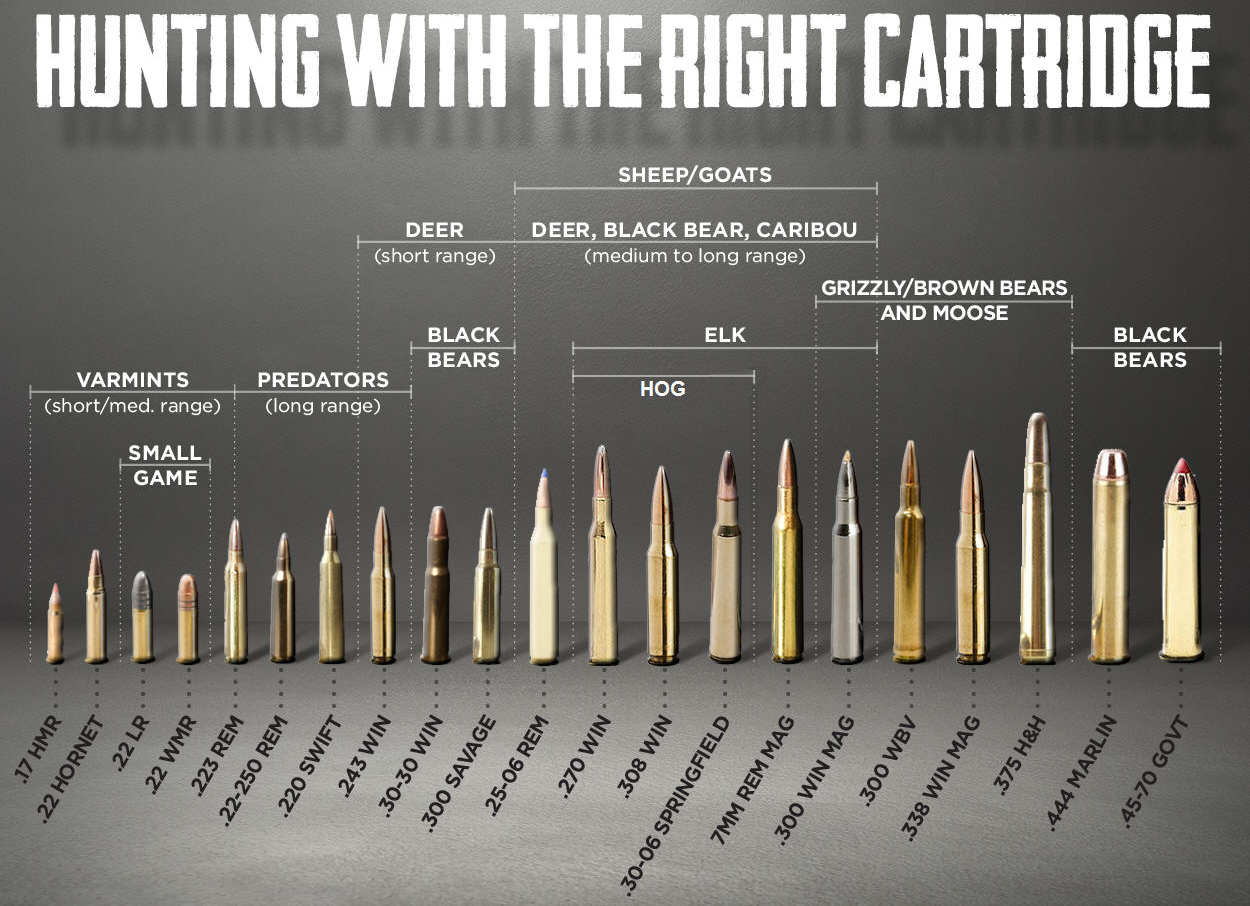 what-type-of-ammo-should-i-use-for-hunting-80-percent-arms